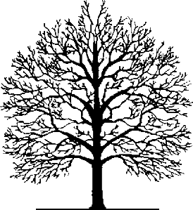 arbre-genealogie.gif